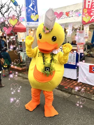 ヒヨコのピーピーの活動写真 1